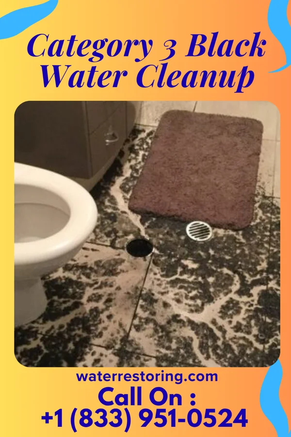 Category 3 Black Water Cleanup in Lake Providence, LA